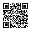 QR Code (код быстрого отклика)