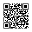 QR Code (код быстрого отклика)