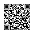 QR Code (код быстрого отклика)