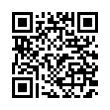 QR Code (код быстрого отклика)