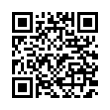 QR Code (код быстрого отклика)