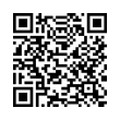 QR Code (код быстрого отклика)