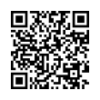 QR Code (код быстрого отклика)