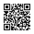 QR Code (код быстрого отклика)