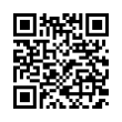 QR Code (код быстрого отклика)