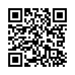 QR Code (код быстрого отклика)