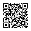 QR Code (код быстрого отклика)