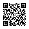 QR Code (код быстрого отклика)