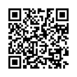 QR Code (код быстрого отклика)