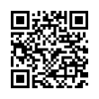 QR Code (код быстрого отклика)