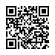 QR Code (код быстрого отклика)