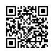 QR Code (код быстрого отклика)