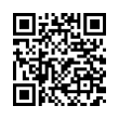 QR Code (код быстрого отклика)