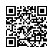 QR Code (код быстрого отклика)