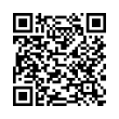 QR Code (код быстрого отклика)