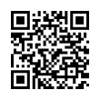 QR Code (код быстрого отклика)