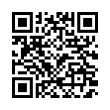 QR Code (код быстрого отклика)