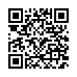 QR Code (код быстрого отклика)