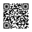 QR Code (код быстрого отклика)