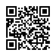 QR Code (код быстрого отклика)