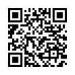 QR Code (код быстрого отклика)