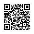 QR Code (код быстрого отклика)