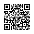 QR Code (код быстрого отклика)