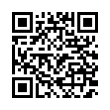 QR Code (код быстрого отклика)