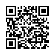 QR Code (код быстрого отклика)