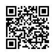 QR Code (код быстрого отклика)