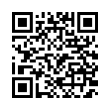 QR Code (код быстрого отклика)