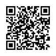 QR Code (код быстрого отклика)