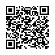 QR Code (код быстрого отклика)