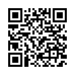 QR Code (код быстрого отклика)