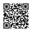 QR Code (код быстрого отклика)