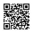 QR Code (код быстрого отклика)