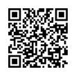 QR Code (код быстрого отклика)