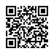 QR Code (код быстрого отклика)