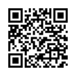 QR Code (код быстрого отклика)