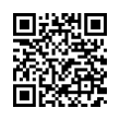 QR Code (код быстрого отклика)