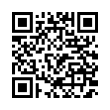 QR Code (код быстрого отклика)