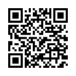 QR Code (код быстрого отклика)