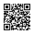 QR Code (код быстрого отклика)