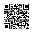 QR Code (код быстрого отклика)