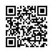 QR Code (код быстрого отклика)