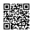 QR Code (код быстрого отклика)