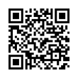 QR Code (код быстрого отклика)