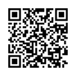 QR Code (код быстрого отклика)