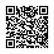 QR Code (код быстрого отклика)