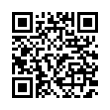 QR Code (код быстрого отклика)